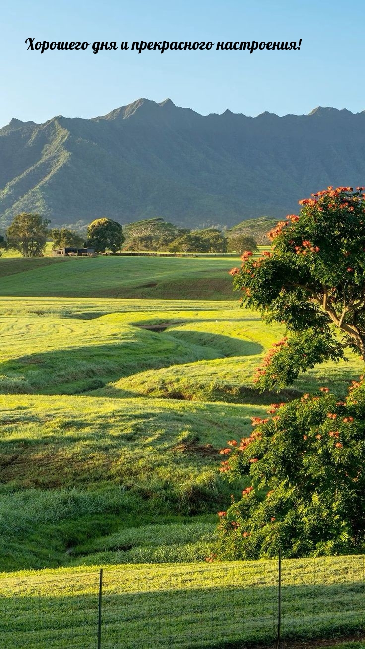 Хорошего дня и прекрасного настроения! 