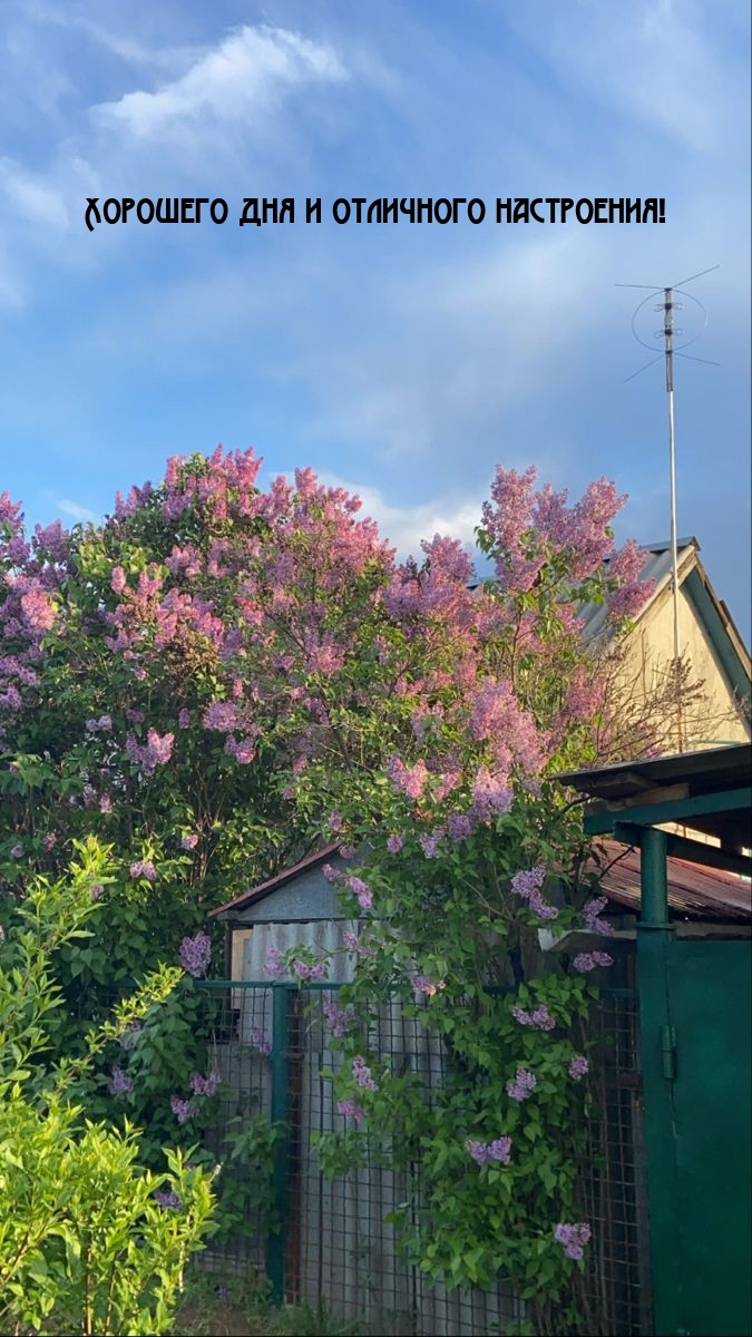 Хорошего дня и отличного настроения! 
