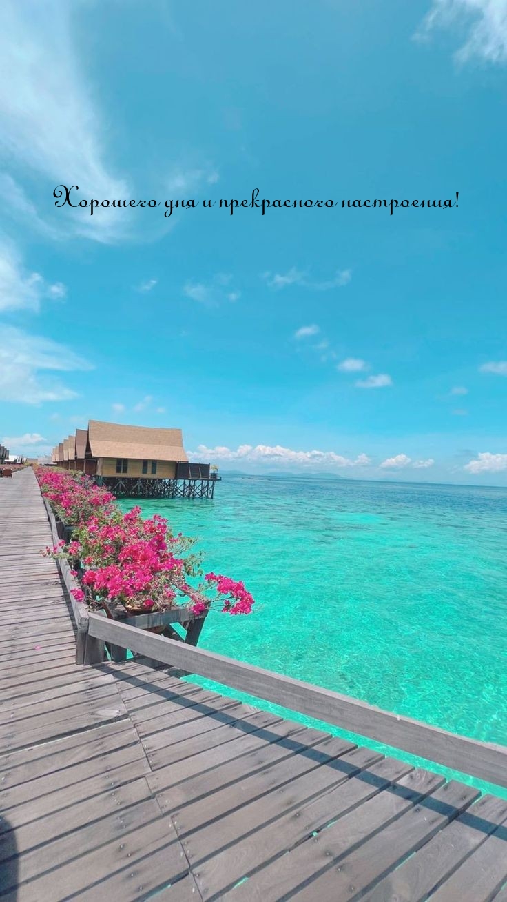 Хорошего дня и прекрасного настроения! 