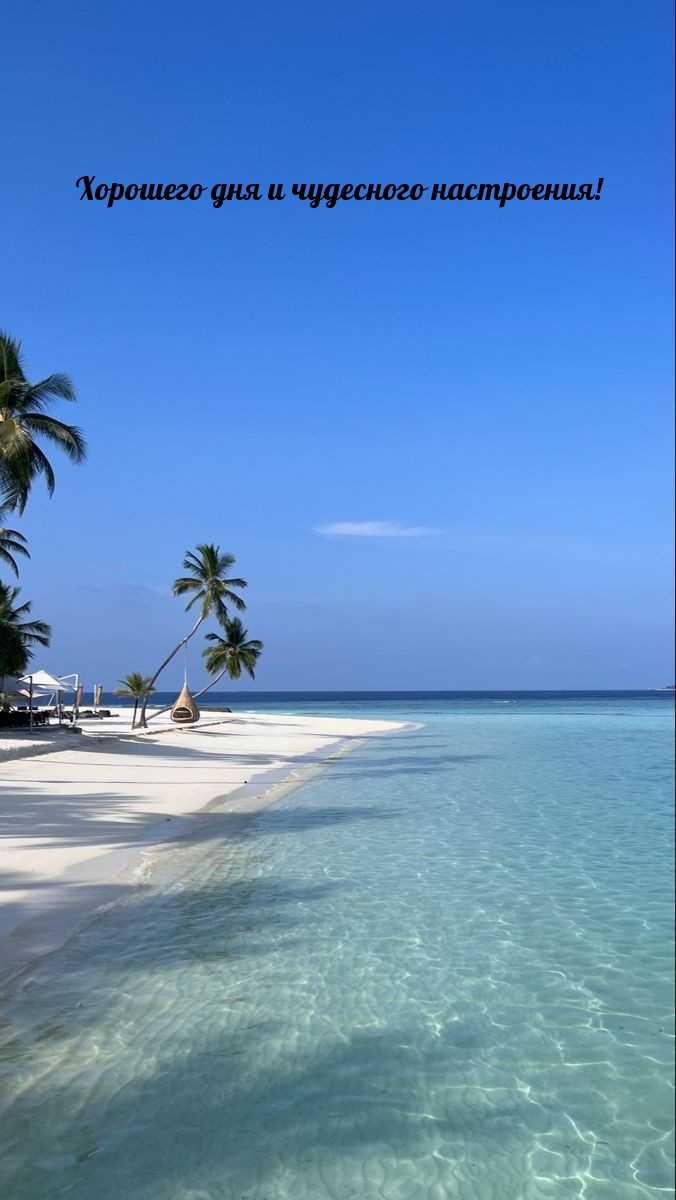 Хорошего дня и чудесного настроения! 