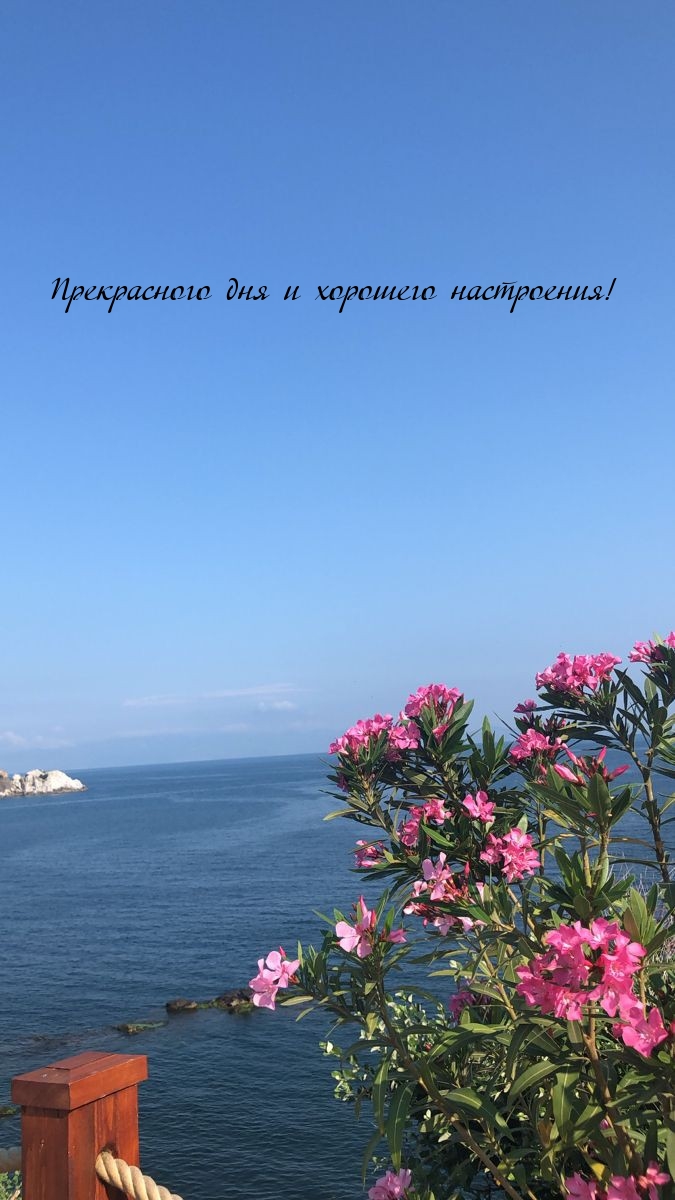 Прекрасного дня и хорошего настроения! 