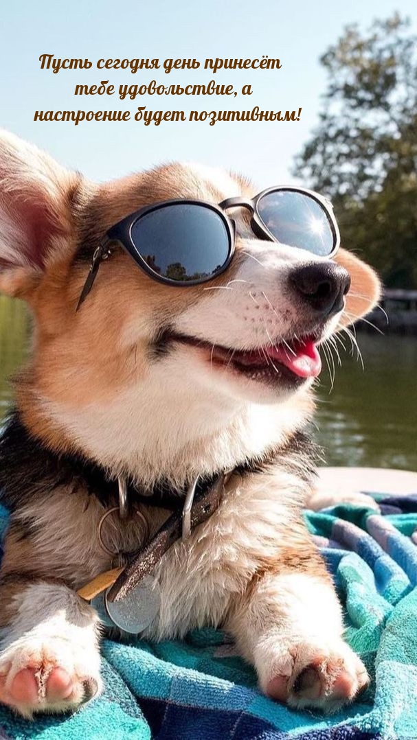 Пусть сегодня день принесёт тебе удовольствие