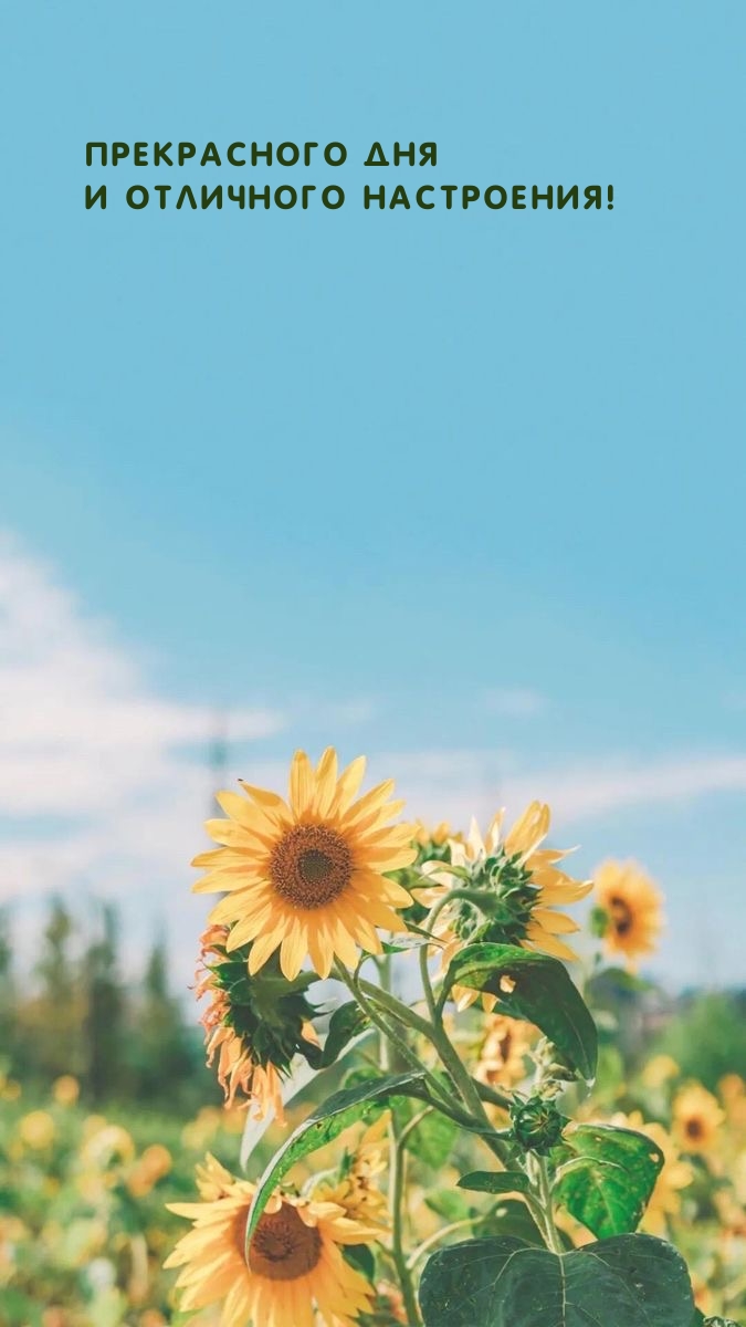 Прекрасного дня и отличного настроения!