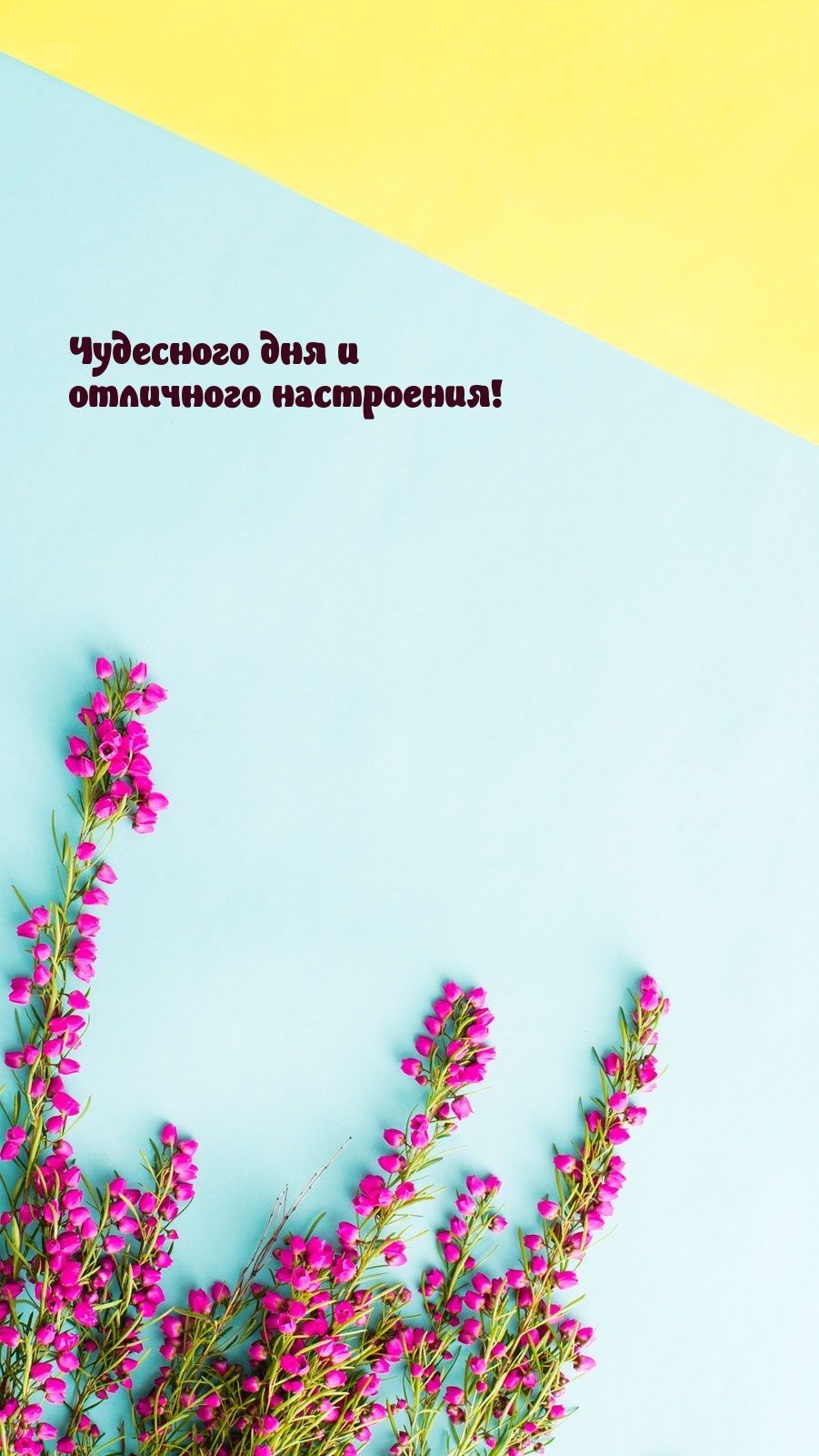 Чудесного дня и отличного настроения!