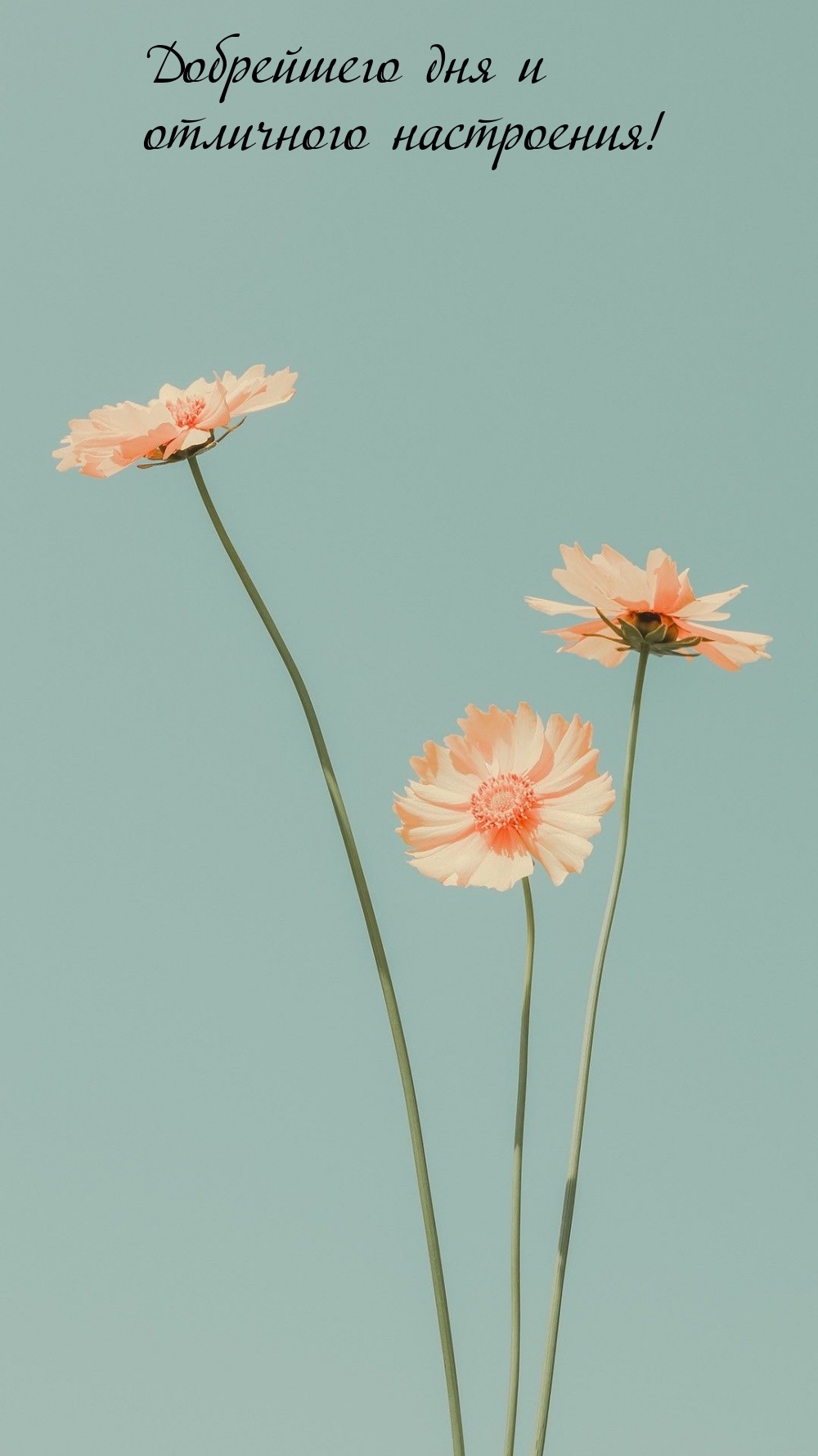 Добрейшего дня и отличного настроения!