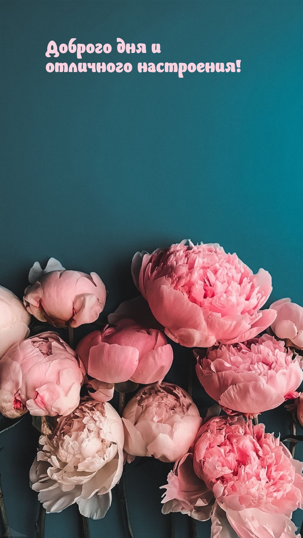 Доброго дня и отличного настроения!