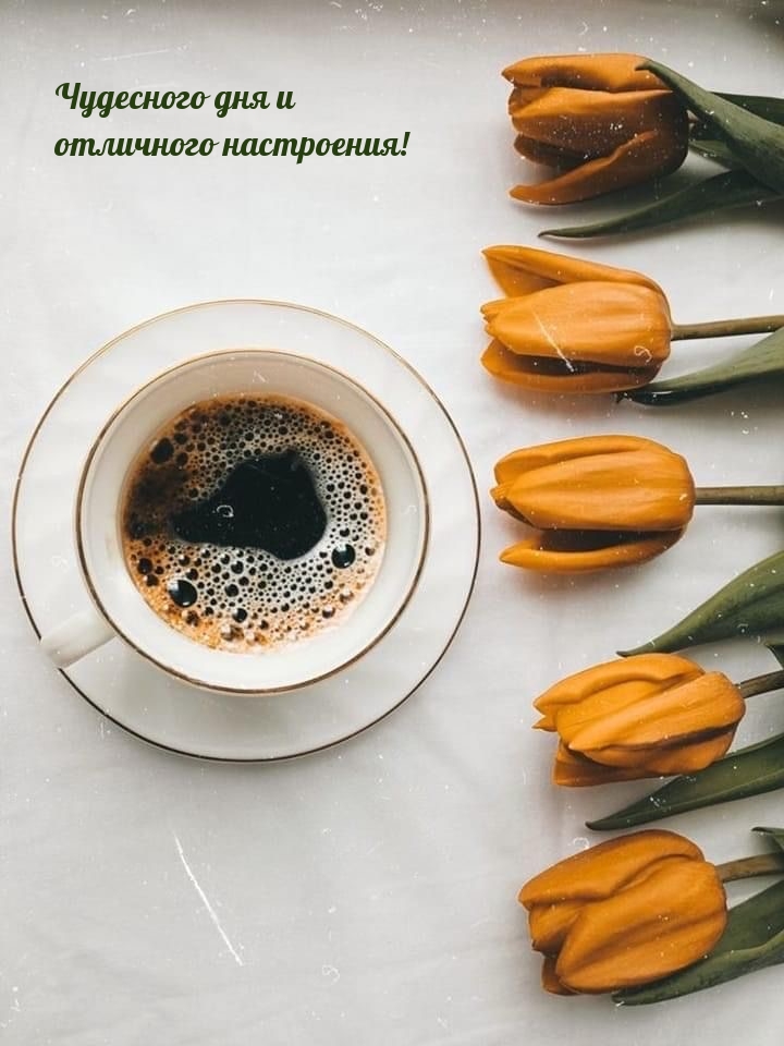 Чудесного дня и отличного настроения!