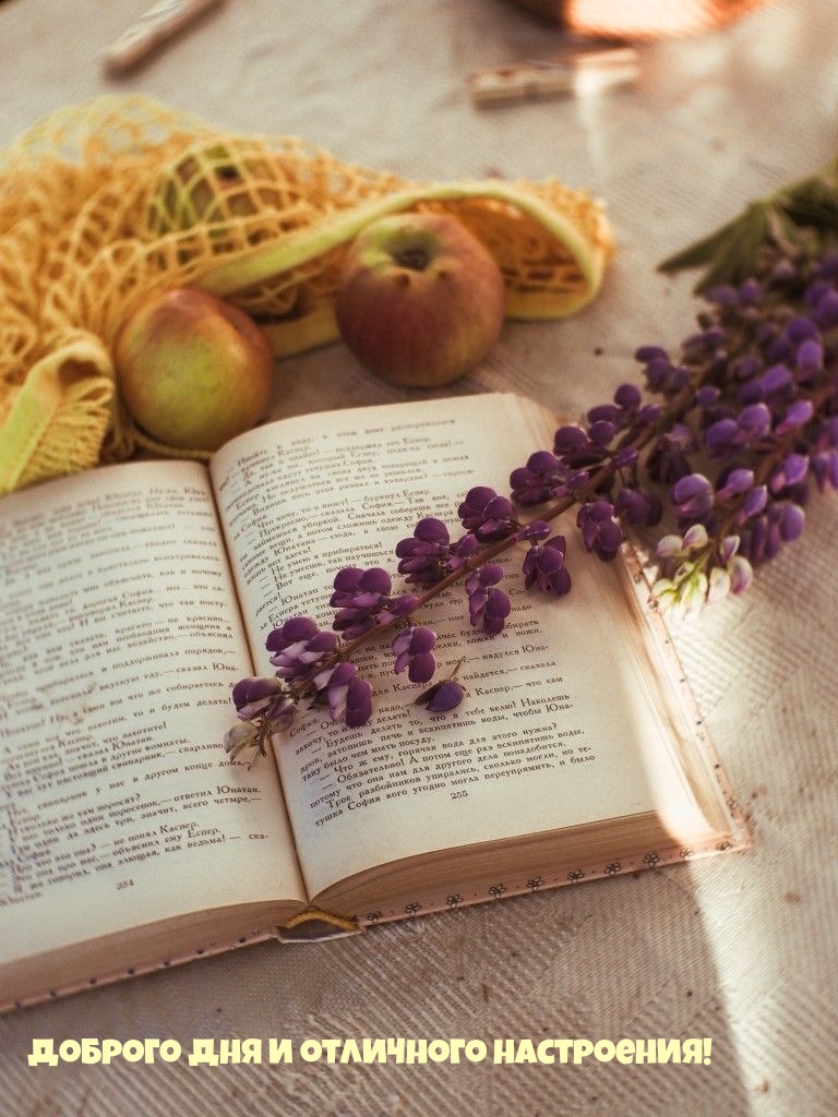 Доброго дня и отличного настроения!