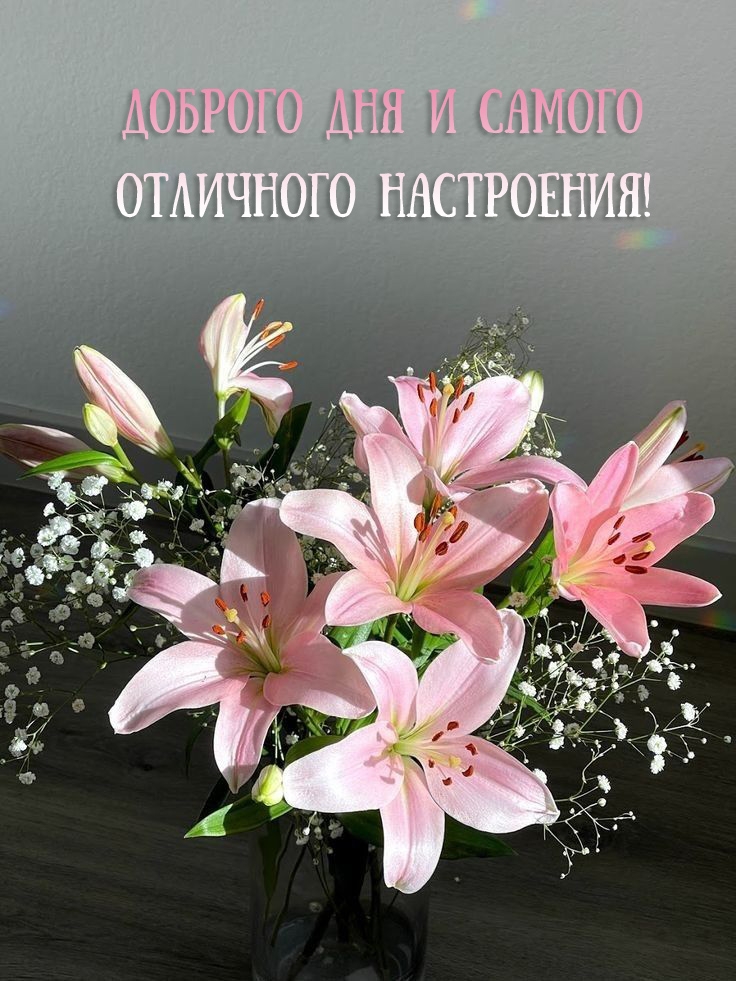 Доброго дня и самого отличного настроения!