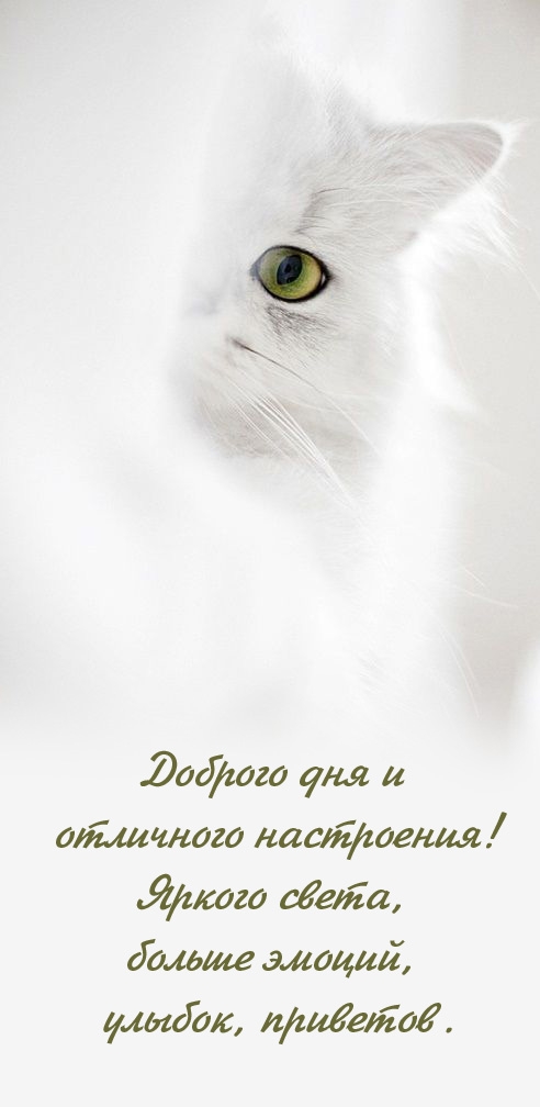 Доброго дня и отличного настроения! Яркого света, больше эмоций