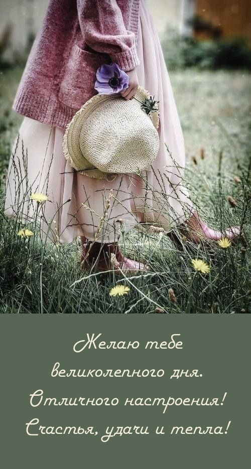 Великолепного дня. Отличного настроения! Счастья, удачи и тепла!  