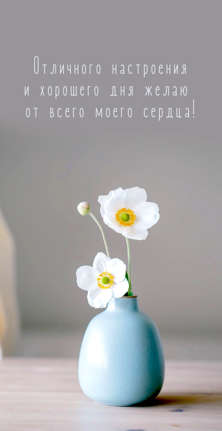 Отличного настроения и хорошего дня желаю от всего моего сердца!