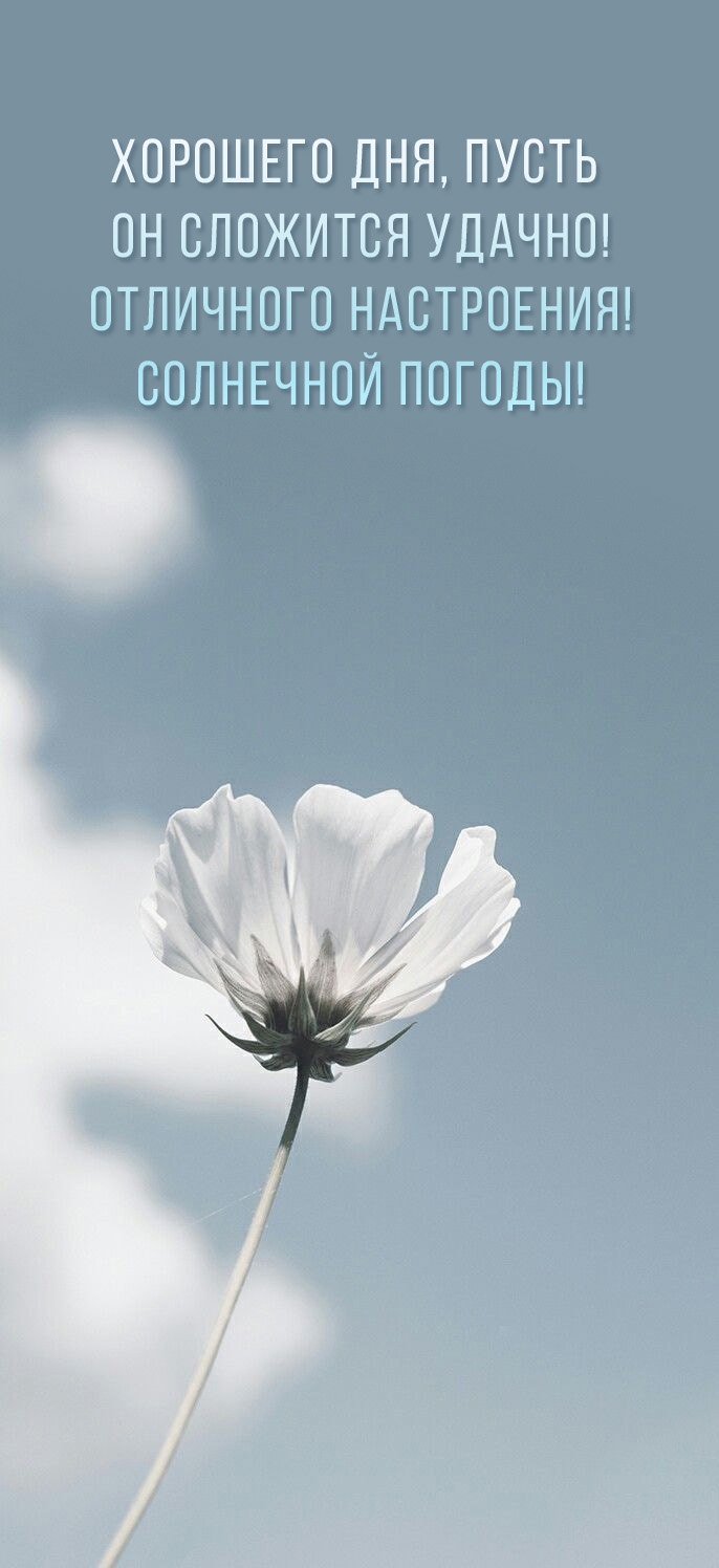 Хорошего дня, пусть он сложится удачно! Отличного настроения!