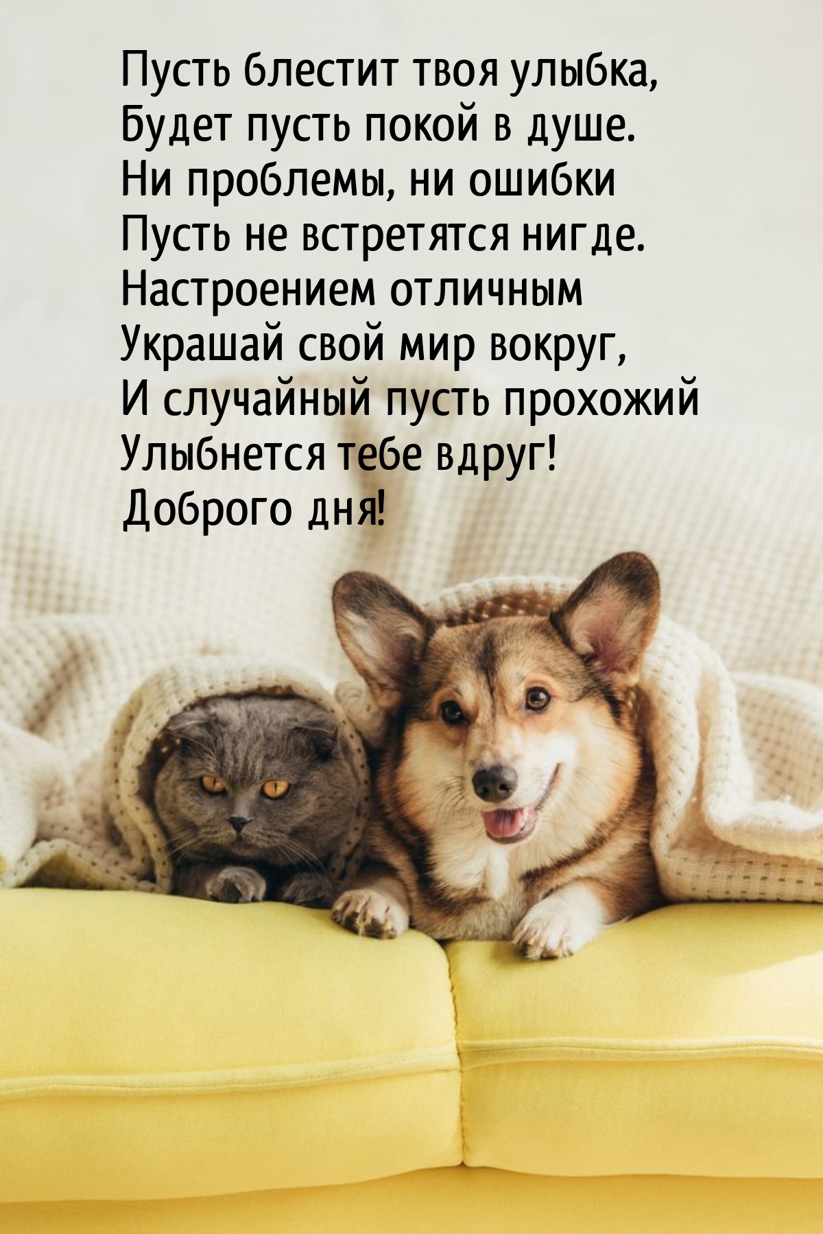 Пусть блестит твоя улыбка, будет пусть покой в душе.