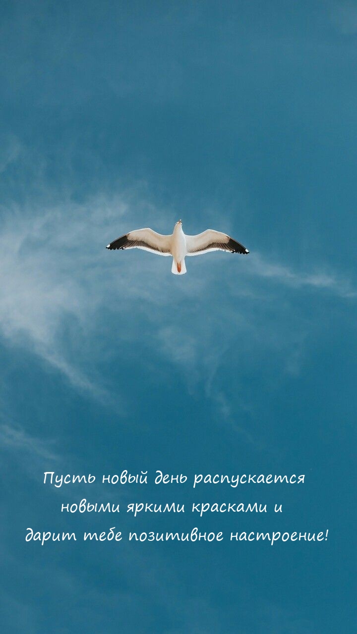Пусть новый день распускается новыми яркими красками 