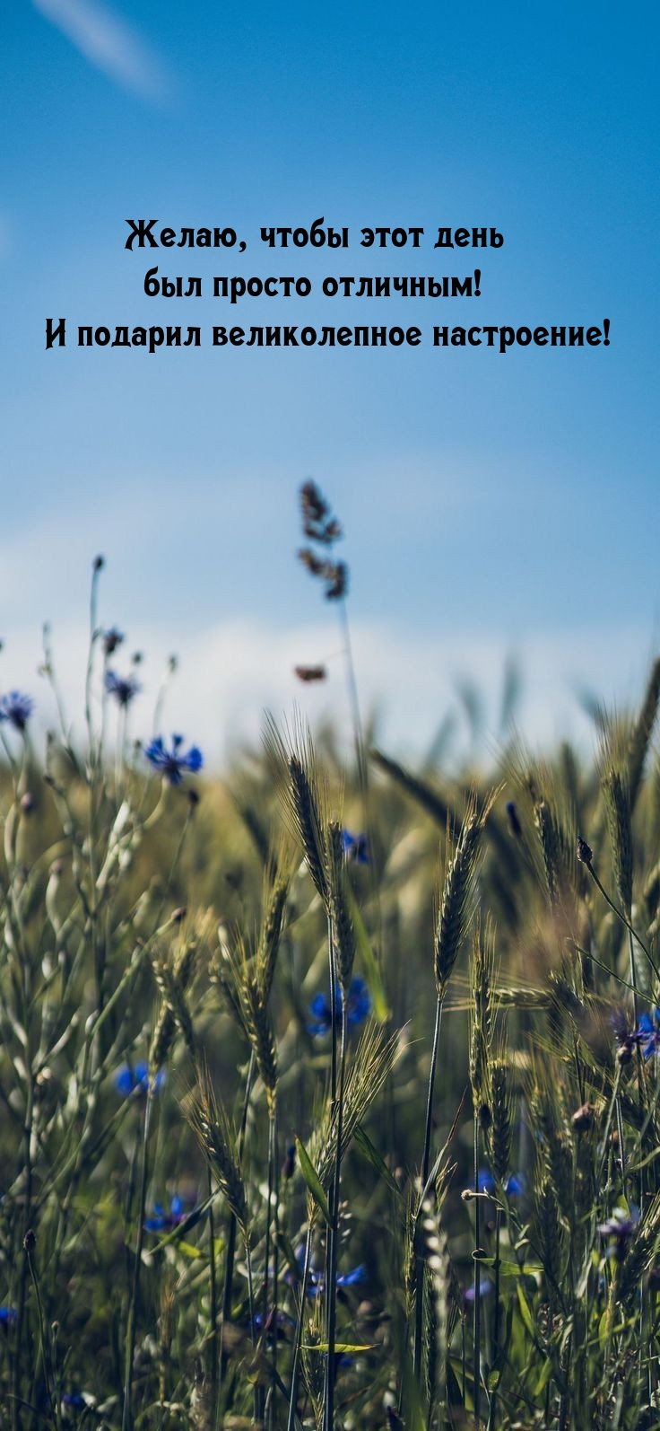 Желаю, чтобы этот день был просто отличным! 