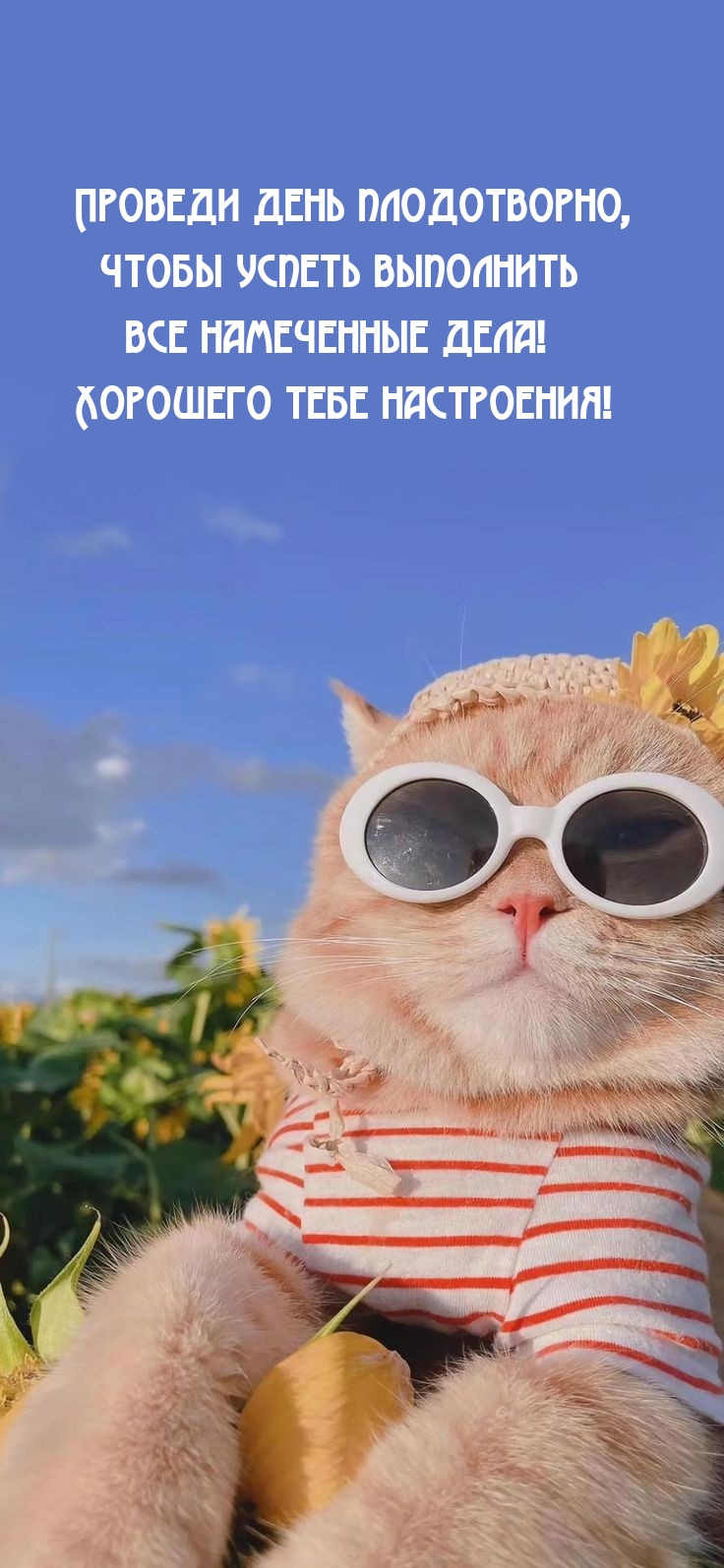 Проведи день плодотворно, чтобы успеть выполнить намеченные дела!