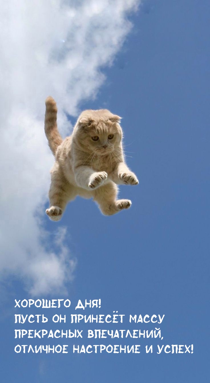 Хорошего дня! Пусть он принесёт массу прекрасных впечатлений