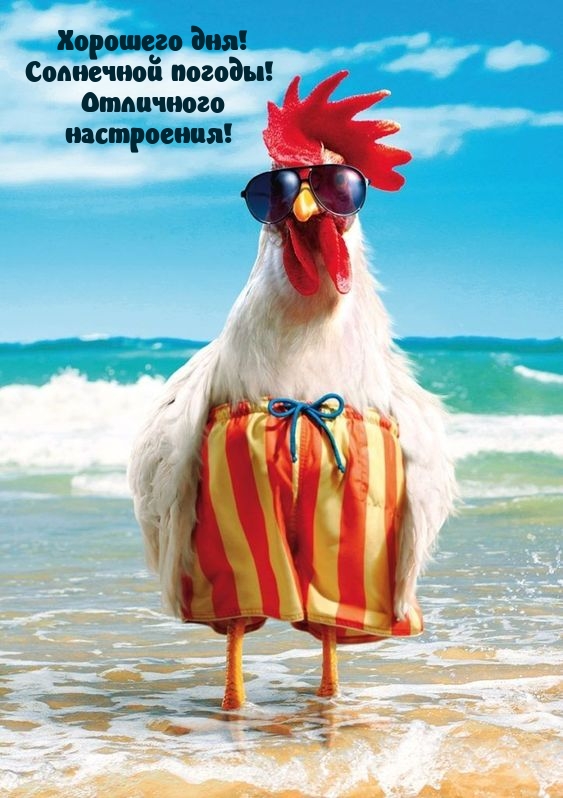 Хорошего дня! Солнечной погоды! Отличного настроения!