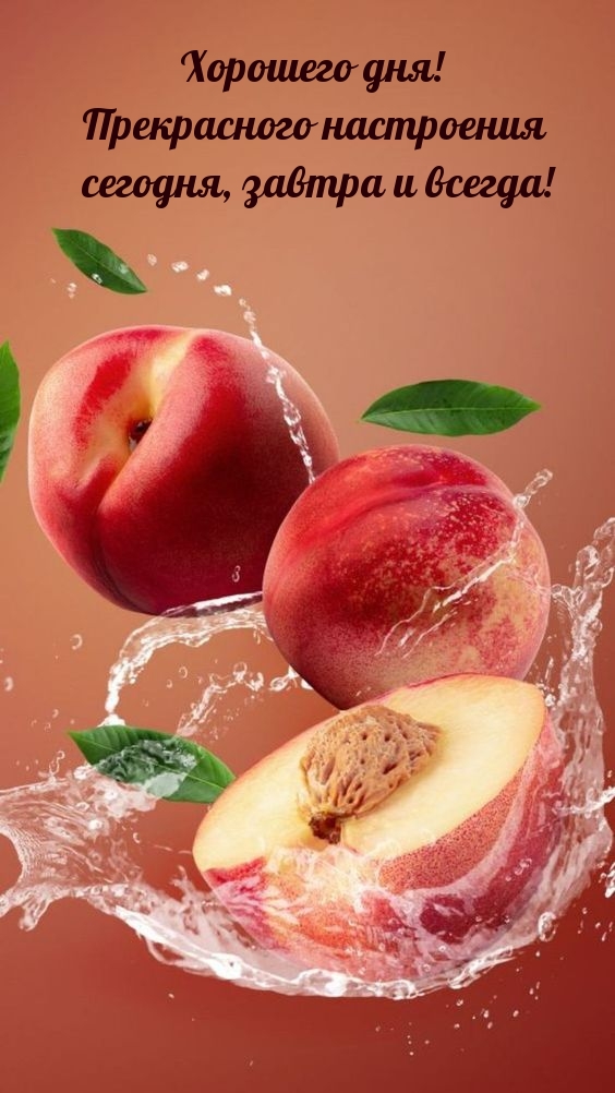 Хорошего дня! Прекрасного настроения сегодня, завтра и всегда!