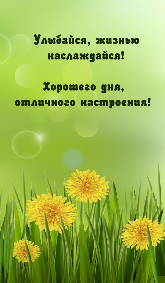 Улыбайся, жизнью наслаждайся! Хорошего дня, отличного настроения!