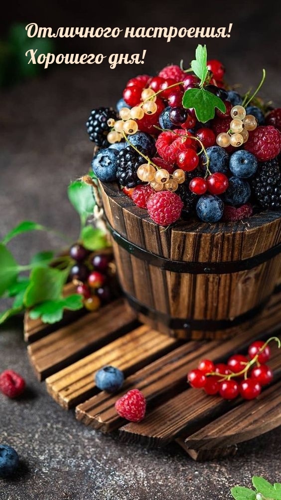 Отличного настроения! Хорошего дня!