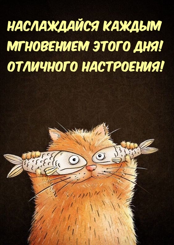 Наслаждайся каждым мгновением этого дня! Отличного настроения!