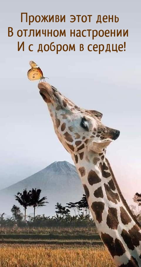 Проживи этот день в отличном настроении и с добром в сердце!