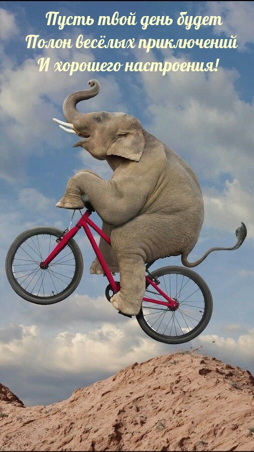 Пусть день будет полон весёлых приключений и хорошего настроения!