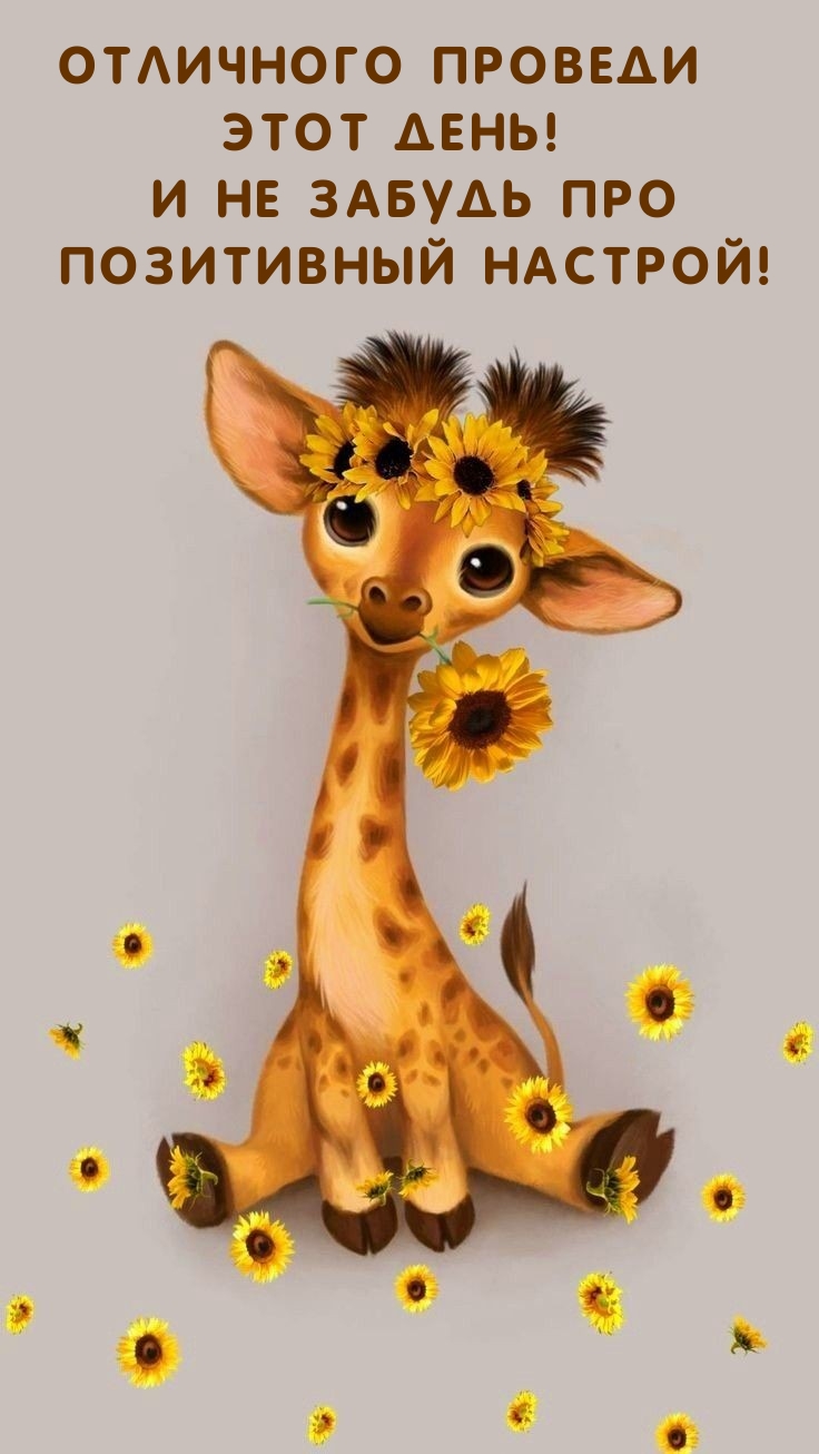Отличного проведи этот день! И не забудь про позитивный настрой!