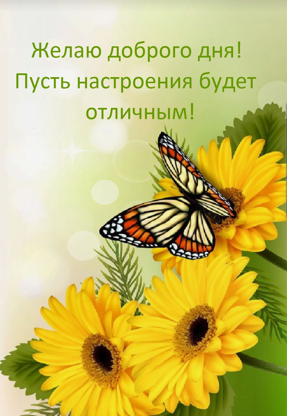 Желаю доброго дня! Пусть настроения будет отличным!