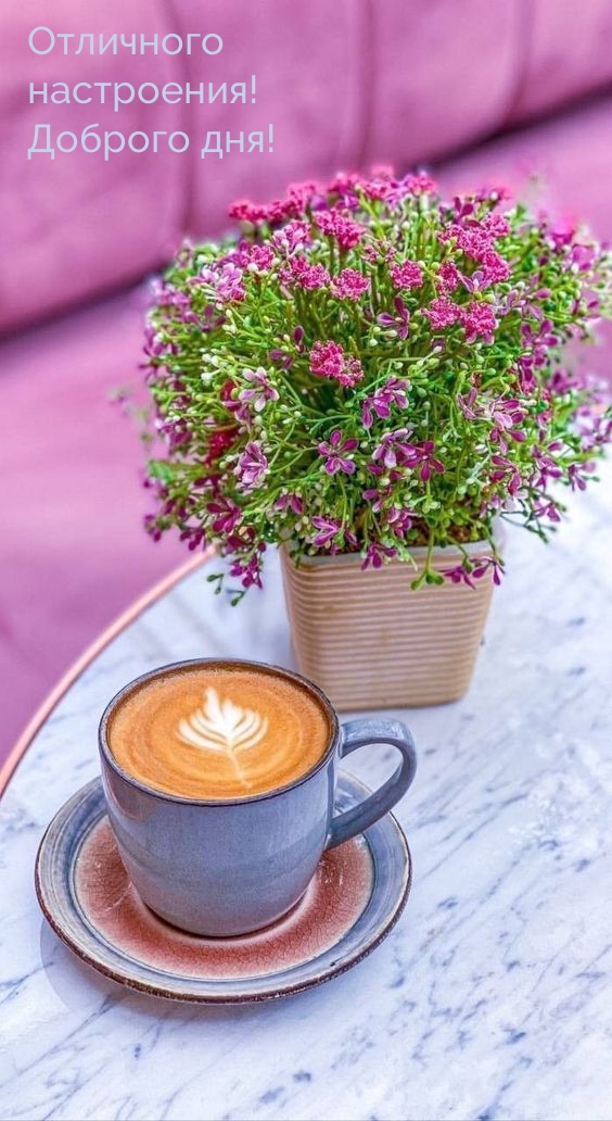 Отличного настроения! Доброго дня!