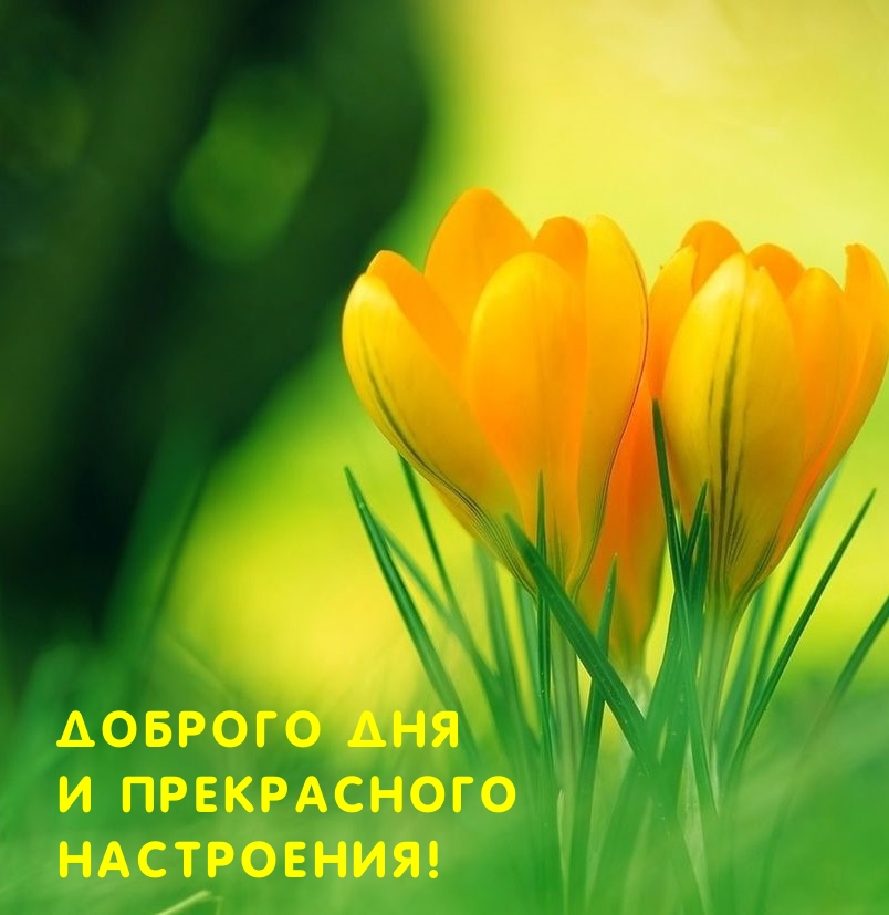 Доброго дня и прекрасного настроения!
