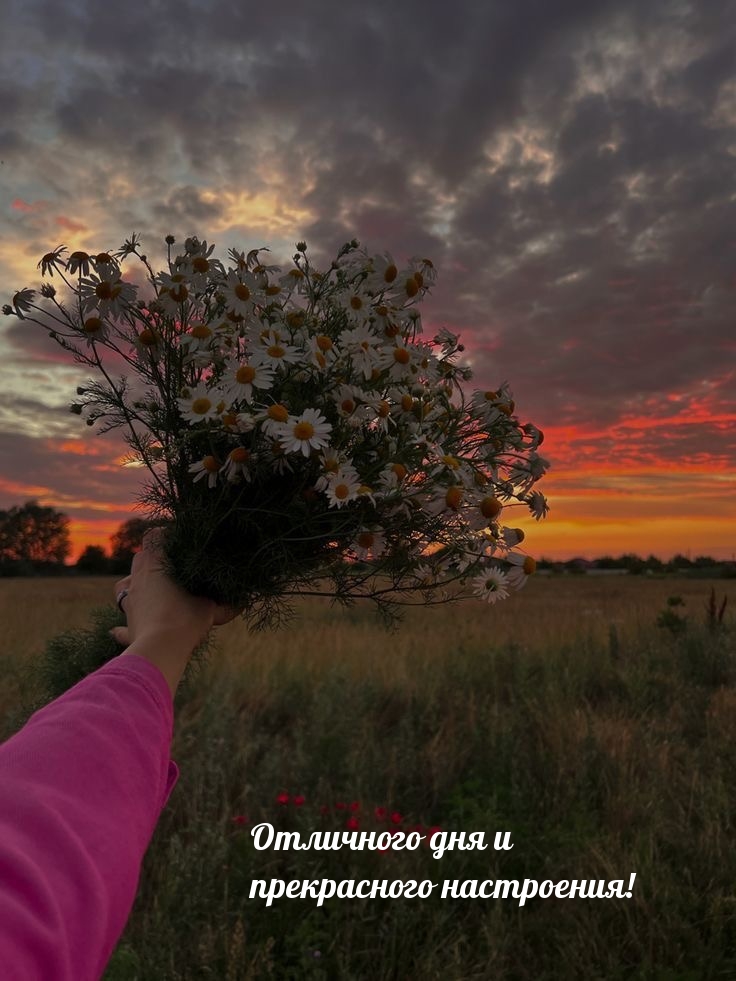 Отличного дня и прекрасного настроения!