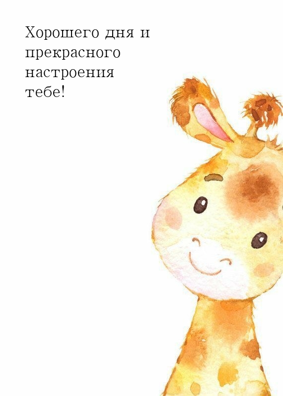 Хорошего дня и прекрасного настроения тебе!