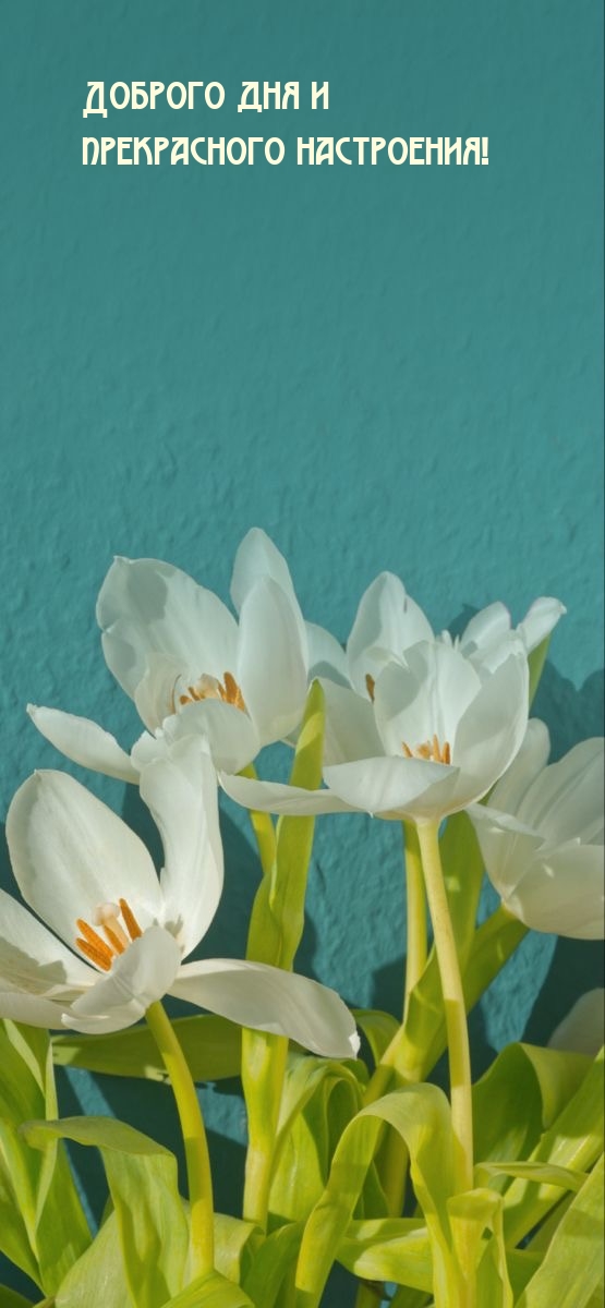 Доброго дня и прекрасного настроения!