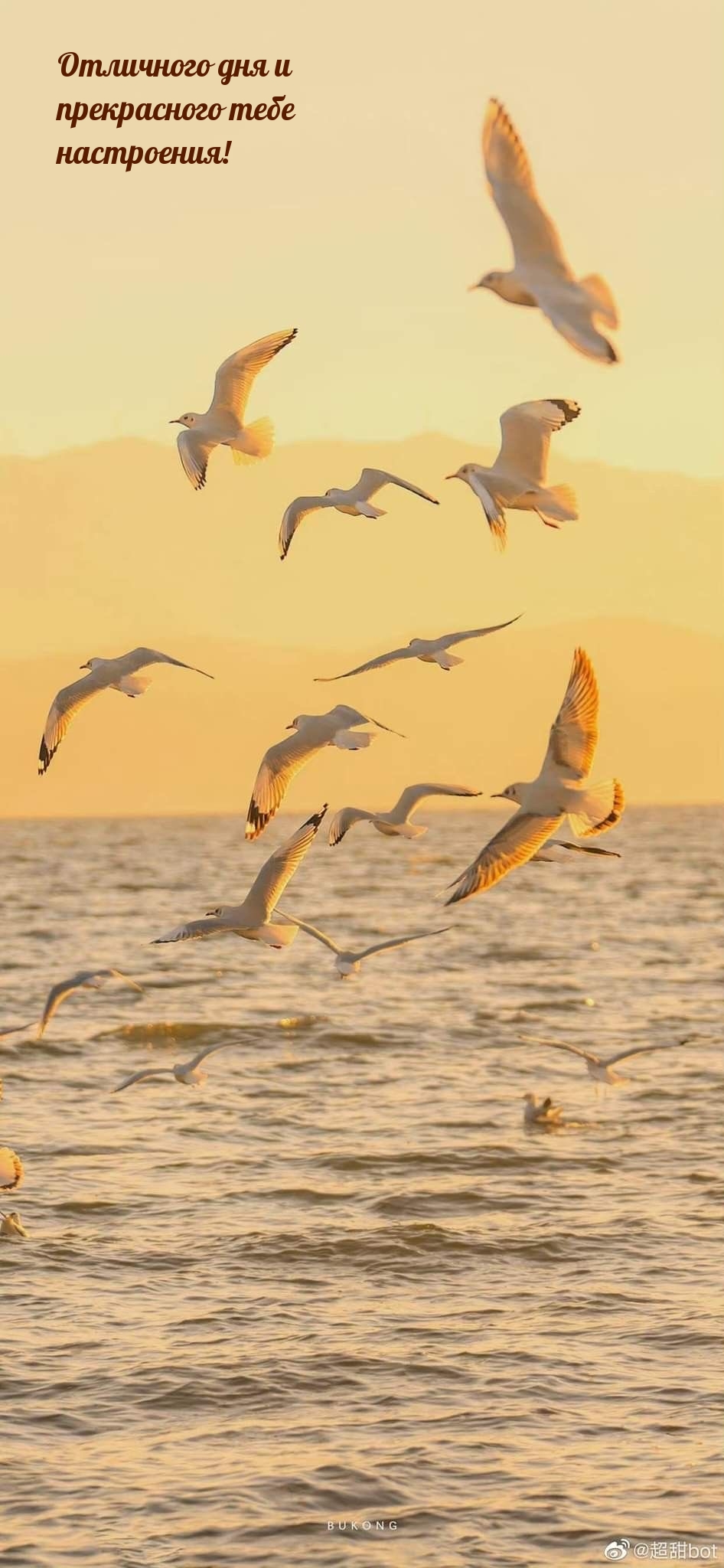 Отличного дня и прекрасного тебе настроения!