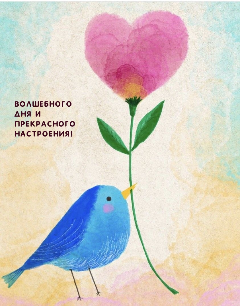 Волшебного дня и прекрасного настроения!