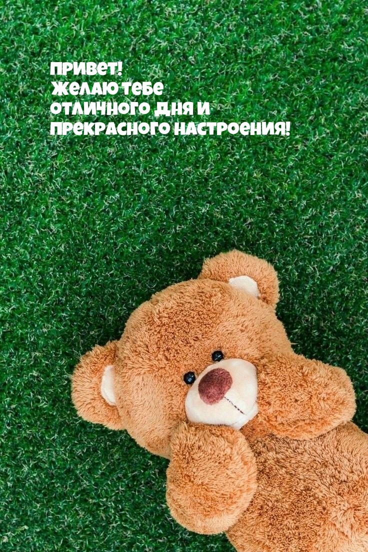 Привет! Желаю тебе отличного дня и прекрасного настроения!