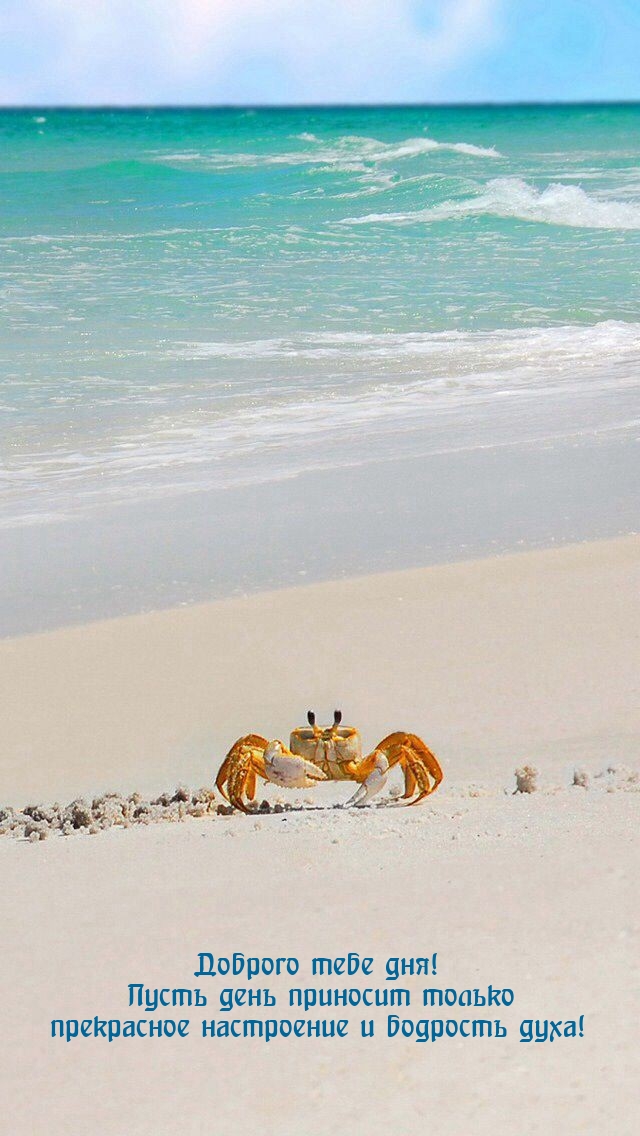 Доброго тебе дня! Пусть день приносит прекрасное настроение