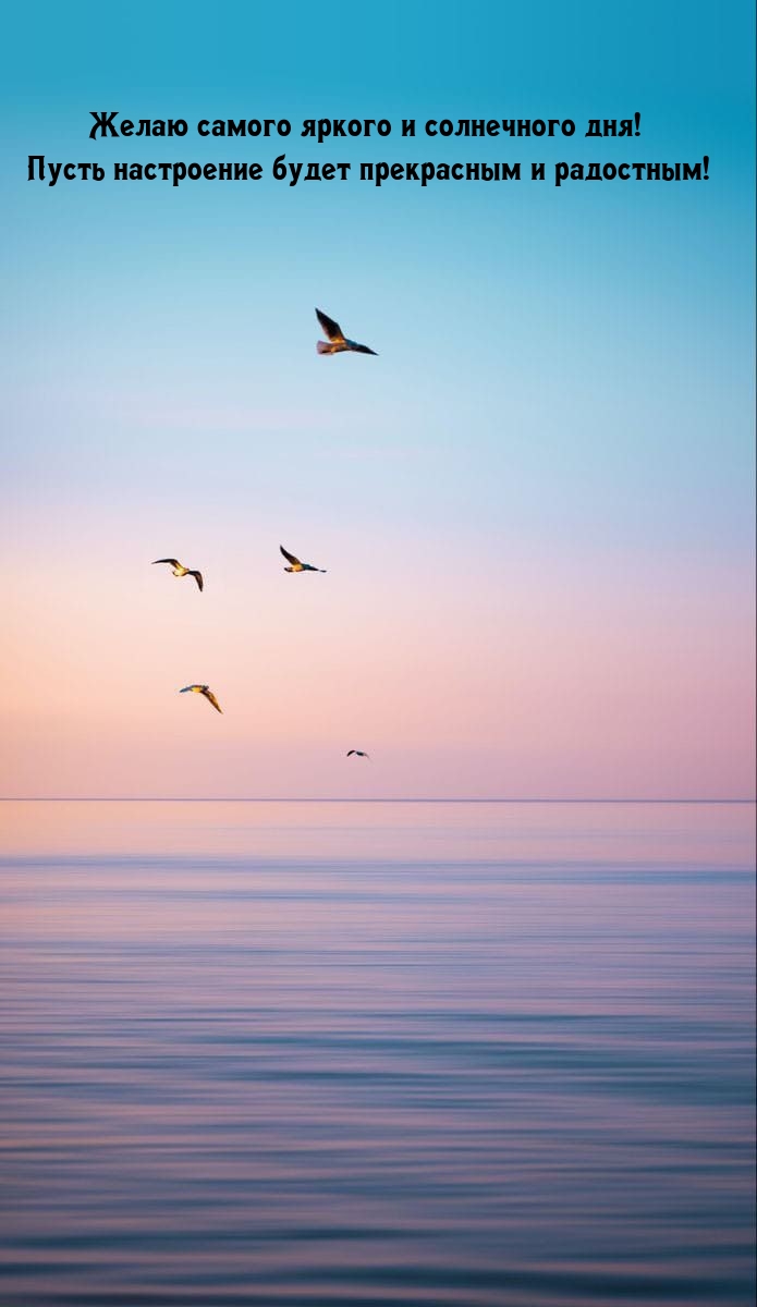 Яркого и солнечного дня! Пусть настроение будет прекрасным