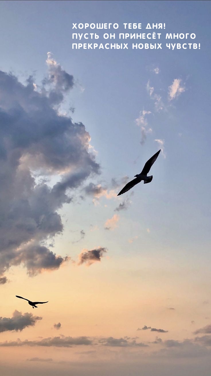 Хорошего тебе дня! Пусть он принесёт много прекрасных новых чувств!