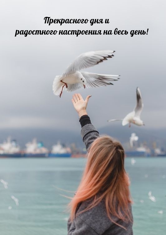 Прекрасного дня и радостного настроения на весь день!
