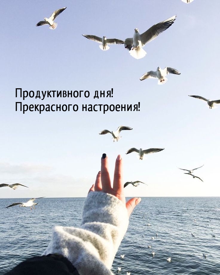 Продуктивного дня! Прекрасного настроения!