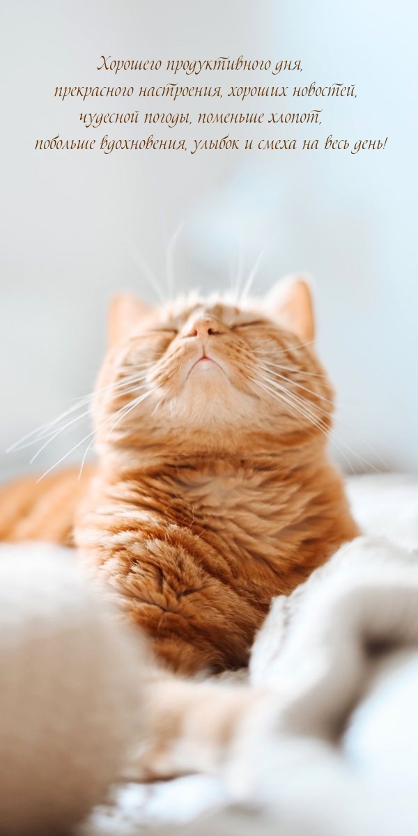 Хорошего продуктивного дня, прекрасного настроения