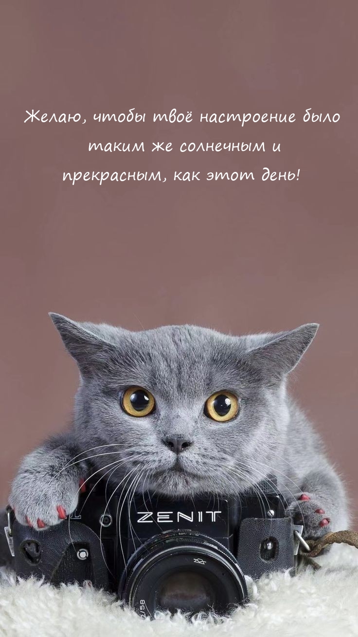Желаю, чтобы твоё настроение было таким же солнечным