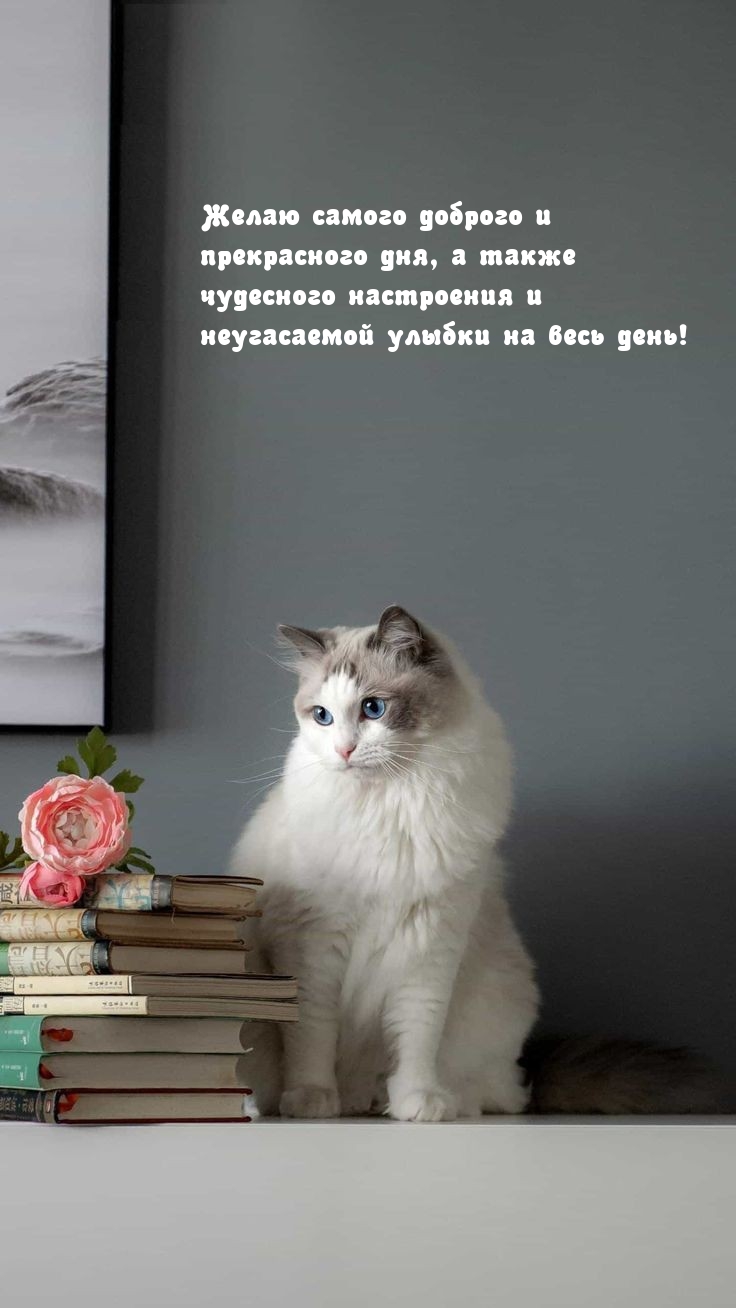 Желаю доброго и прекрасного дня, а также чудесного настроения