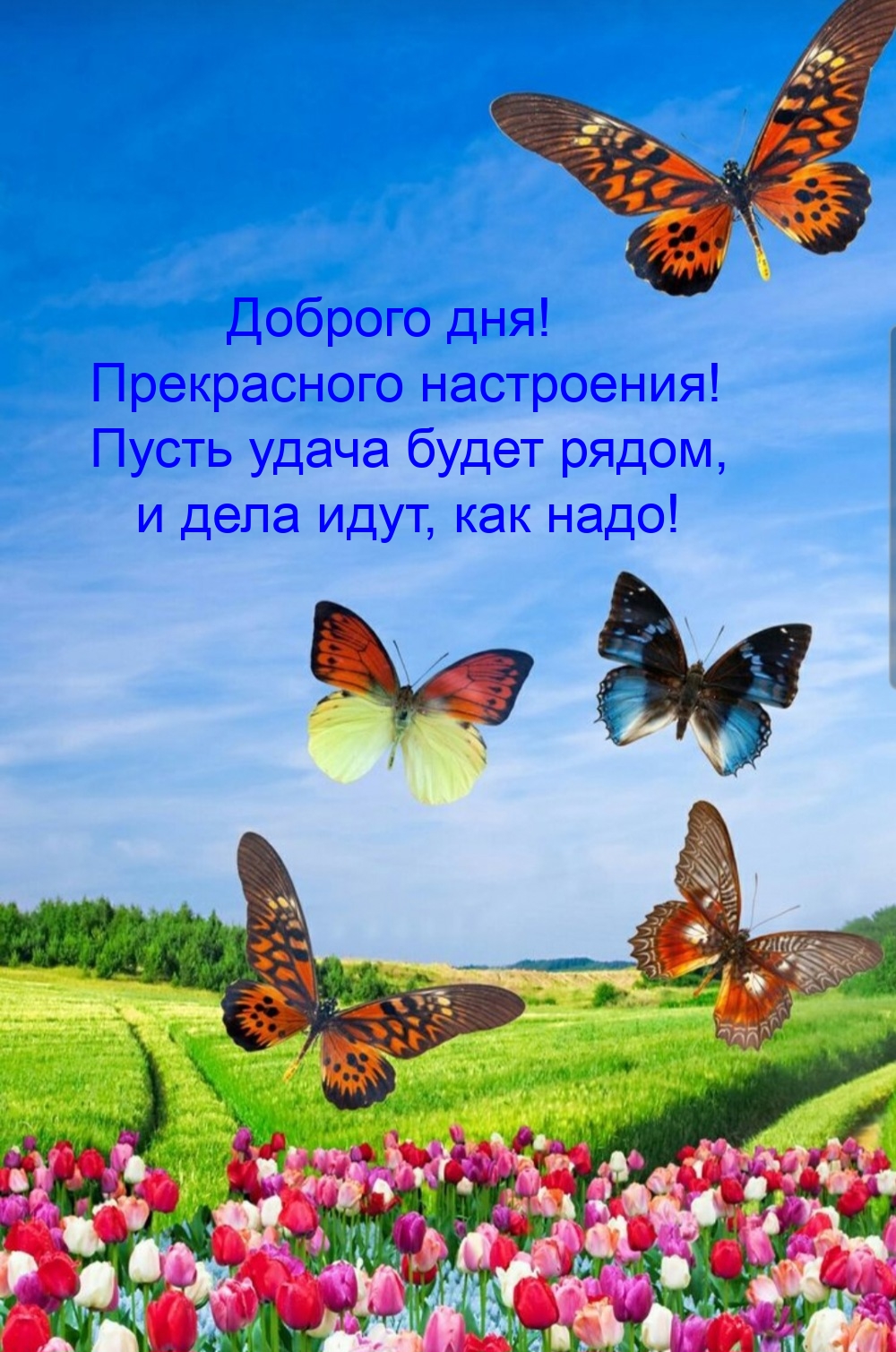 Доброго дня! Прекрасного настроения! Пусть удача будет рядом
