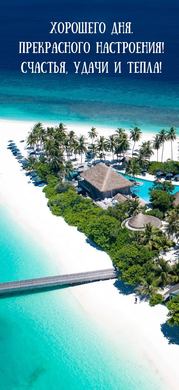 Хорошего дня. Прекрасного настроения! Счастья, удачи и тепла!