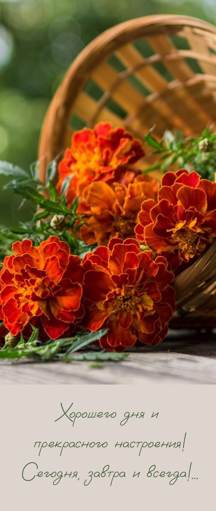 Хорошего дня и прекрасного настроения! Сегодня, завтра и всегда!...